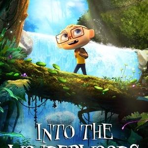 Into the Wonderwoods