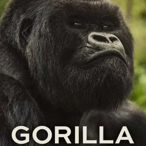 A Gorilla Story: Told by David Attenborough