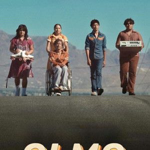 Olmo